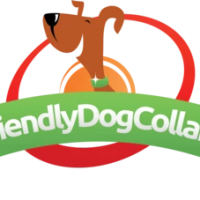 Friendly Dog Collars (leads and harness)